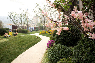 春日花园小径 繁花相伴