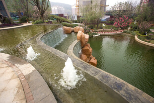 公园喷水景观中的动物雕塑