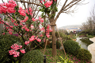 春日烂漫花丛中的小径