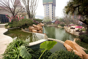 城市中的静谧园林景观
