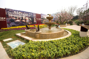 花园中的喷泉景观