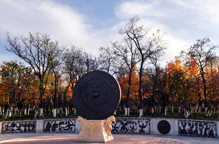 秋日公园中的背影