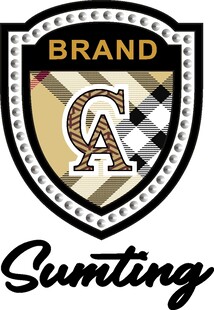 盾牌英文BRAND