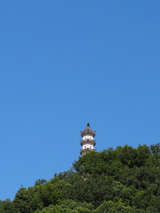 山顶古塔立于葱郁绿树间