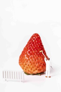 小人攀爬大草莓奇幻场景