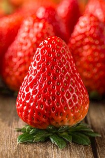 新鲜红嫩草莓