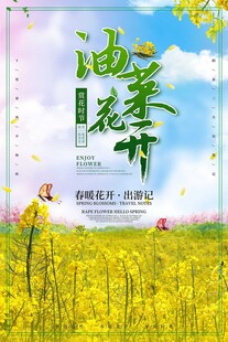 油菜花 