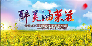 油菜花 