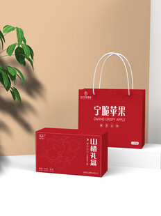 包装盒手提袋组合样机贴图