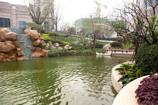 园林水景中的静谧风光