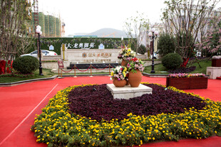 花园中的精美雕像景观