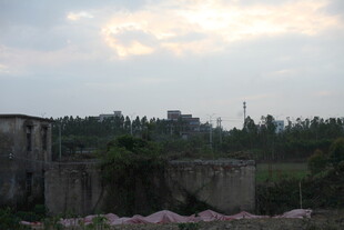 废弃建筑与周边绿植景观