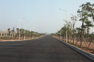 宽阔公路旁绿树成荫