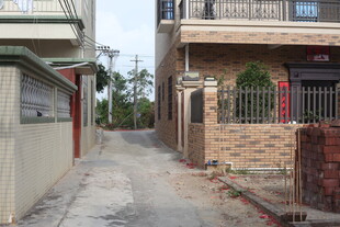 乡村小巷旁的民居景象