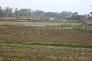 乡村田野农田景象