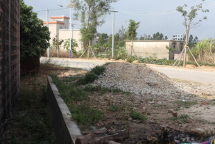 乡村路旁的空地场景