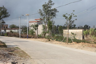 乡村宁静小路风景