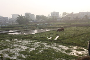乡村田野风光景色
