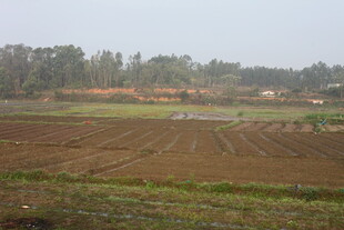 田野风光 展现乡村质朴之美