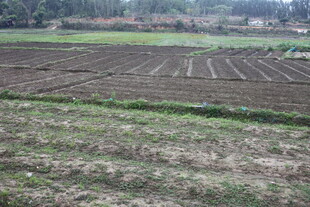 农田景象 土地规整待耕种