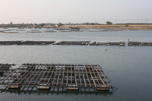 海上养殖设施景观