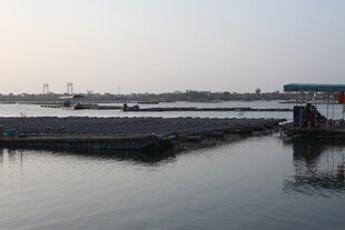 宁静港湾码头景象