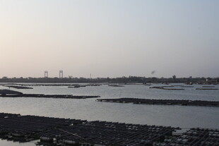 海边滩涂养殖景象