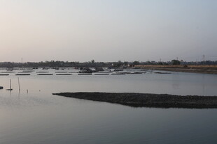 宁静湖畔的美丽水岸风光