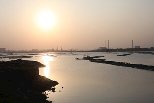 夕阳下的宁静河岸风光