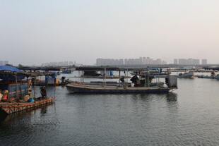 港口码头船只停靠景象