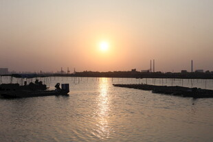 夕阳下的宁静码头