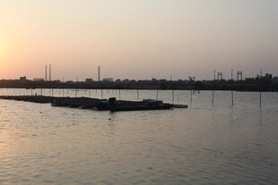 夕阳下宁静的水边美景