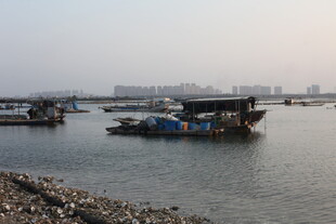 港湾中的停泊渔船