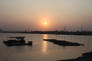 夕阳下宁静的河畔景象