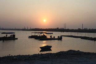夕阳下的宁静水边景象
