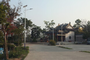 乡村宁静小道旁的古朴房屋