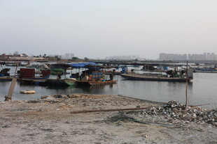 宁静海港中的停泊船只