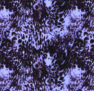 紫色豹纹图案纹理