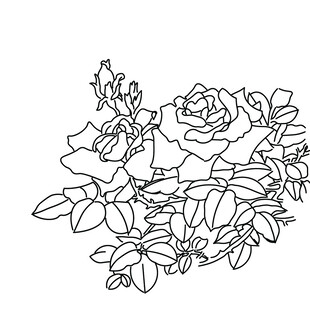 刺绣花