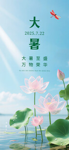 大暑时节荷花绽放美景