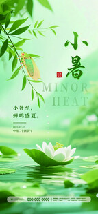 小暑时节绿意盎然荷花图