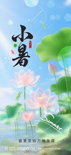 小暑时节荷花绽放图景