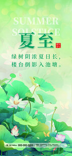 夏至时节荷花绽放景象