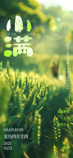 夏日葱郁草地风景