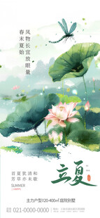 夏日荷塘美景