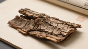 树皮中药材天然药物药用资源植物