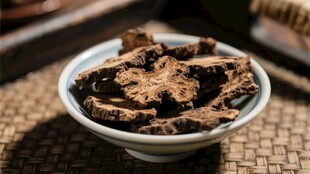 大黄蓼科中药材根及根茎