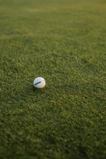 绿茵上的高尔夫球