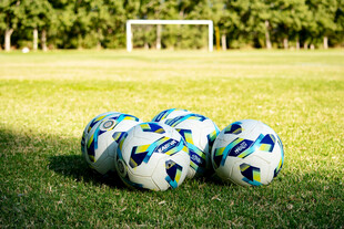 草地上的多彩足球