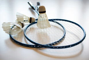 专业羽毛球拍与羽毛球